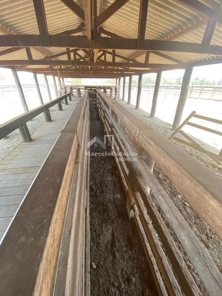 Fazenda - Foto 11