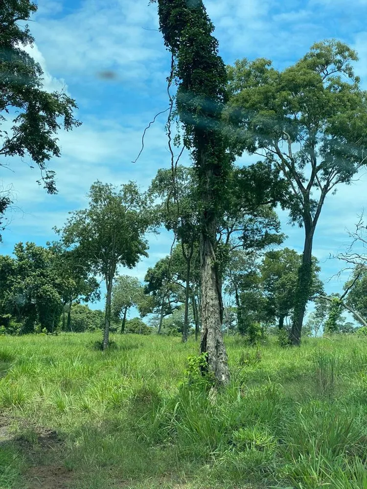 Fazenda - Foto 14