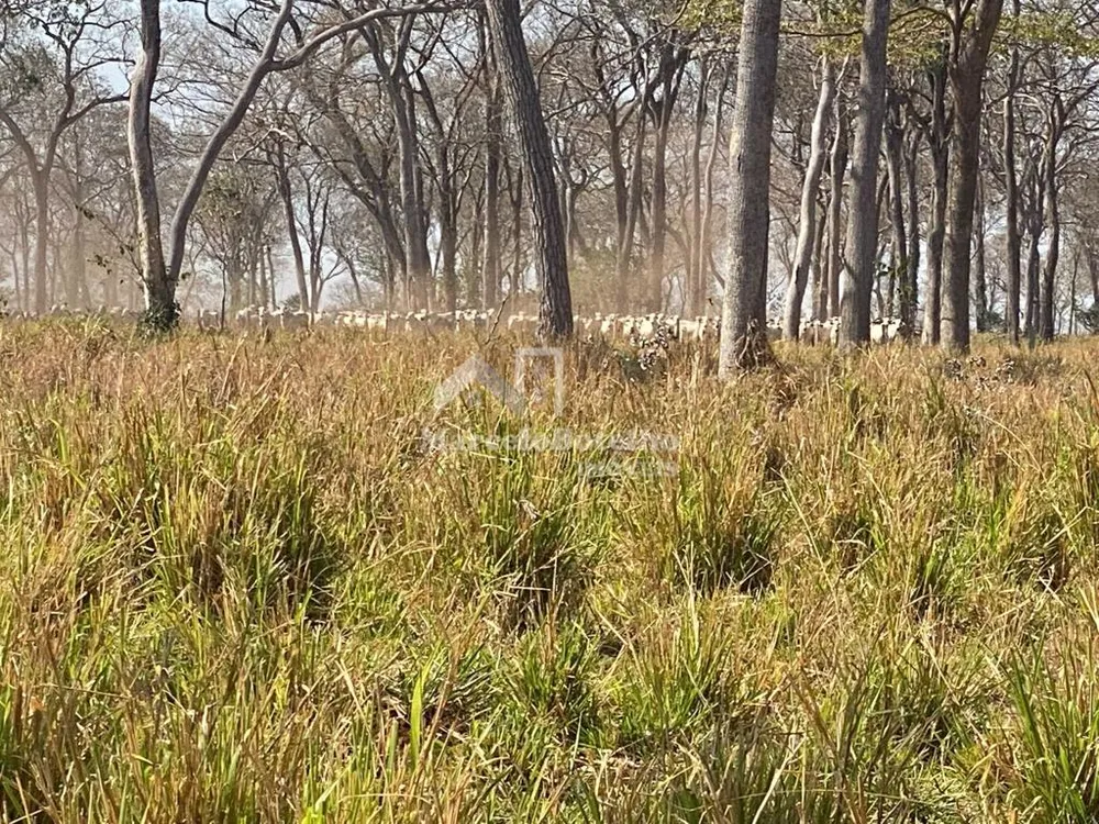 Fazenda - Foto 17