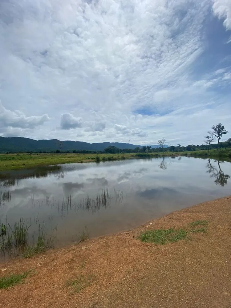 Fazenda - Foto 13