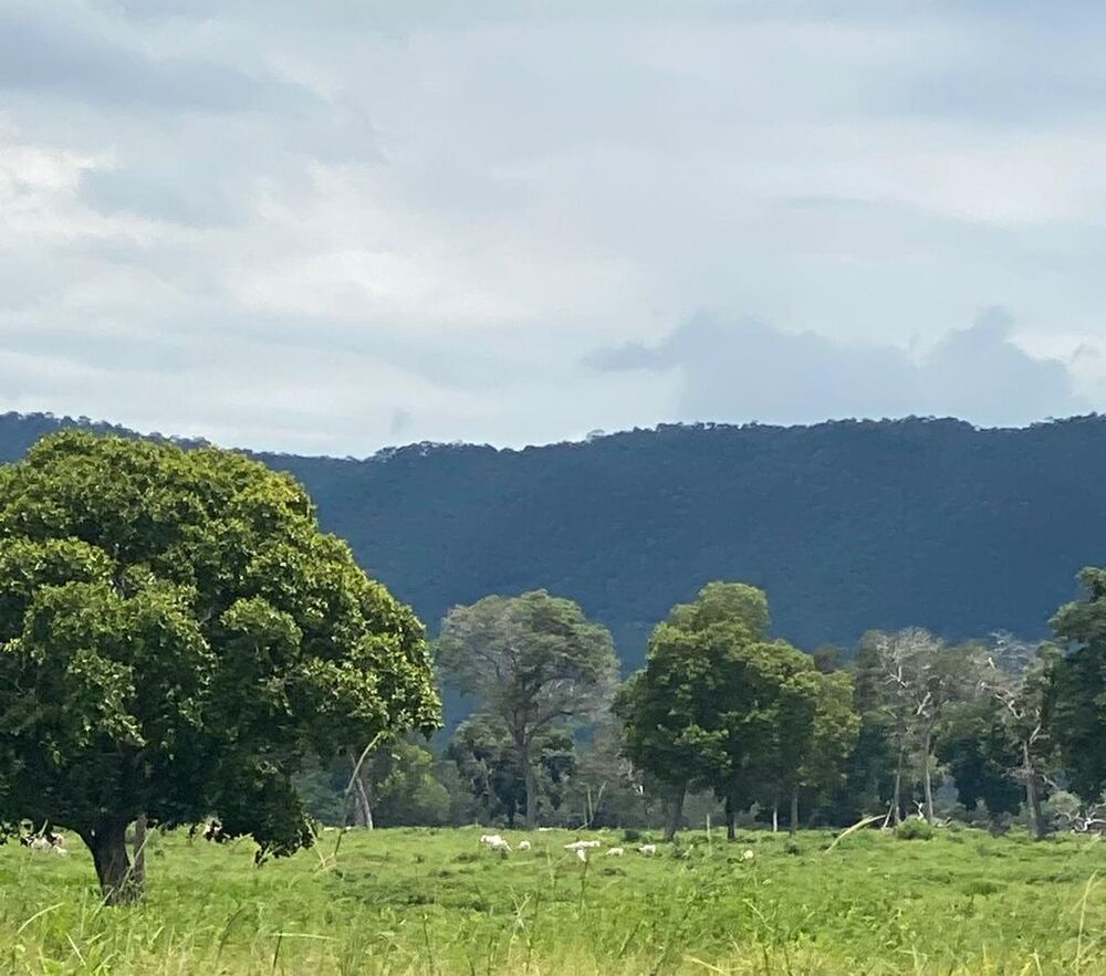 Fazenda à venda, 2000m² - Foto 4