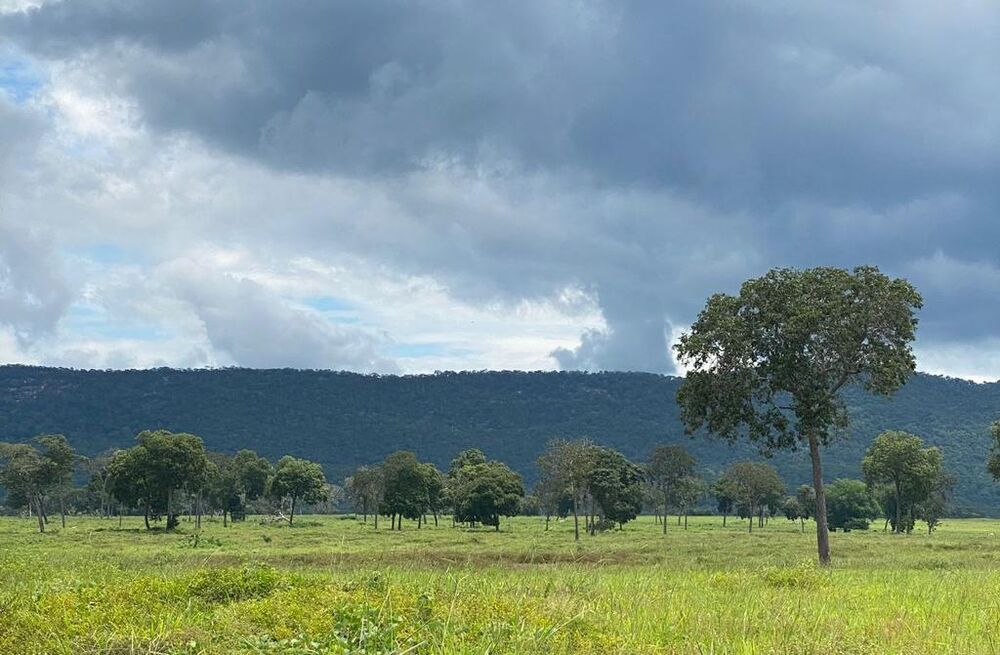 Fazenda à venda, 2000m² - Foto 3