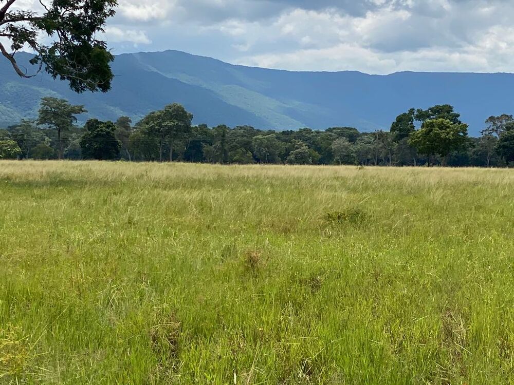 Fazenda à venda, 2000m² - Foto 2