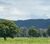 Fazenda-Sítio-Chácara - Foto 4