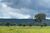 Fazenda-Sítio-Chácara - Foto 3