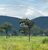 Fazenda-Sítio-Chácara - Foto 1