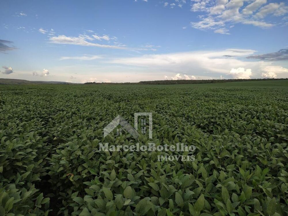 Fazenda - Foto 2