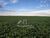 Fazenda - Foto 1