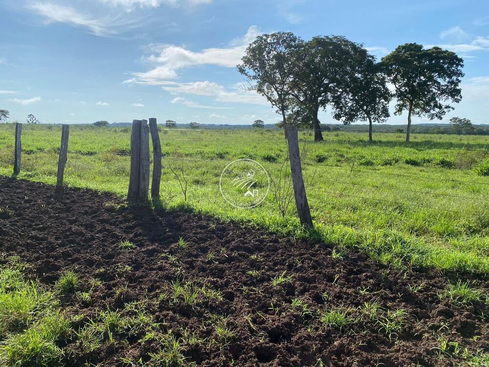 Fazenda à venda com 4 quartos, 1206m² - Foto 2