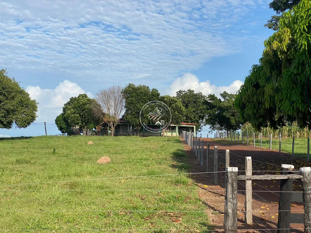 Fazenda, 4 quartos - Foto 14