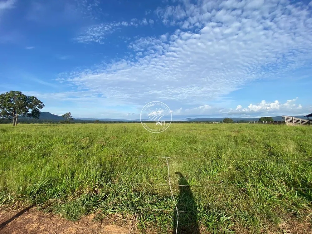 Fazenda, 4 quartos - Foto 17