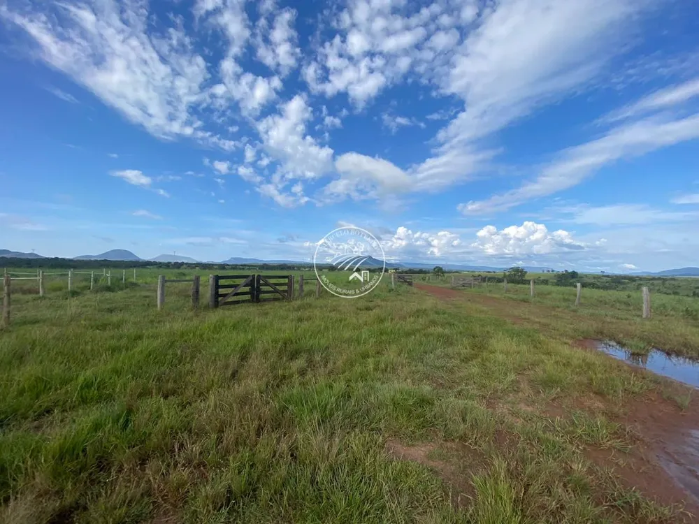 Fazenda, 4 quartos - Foto 5