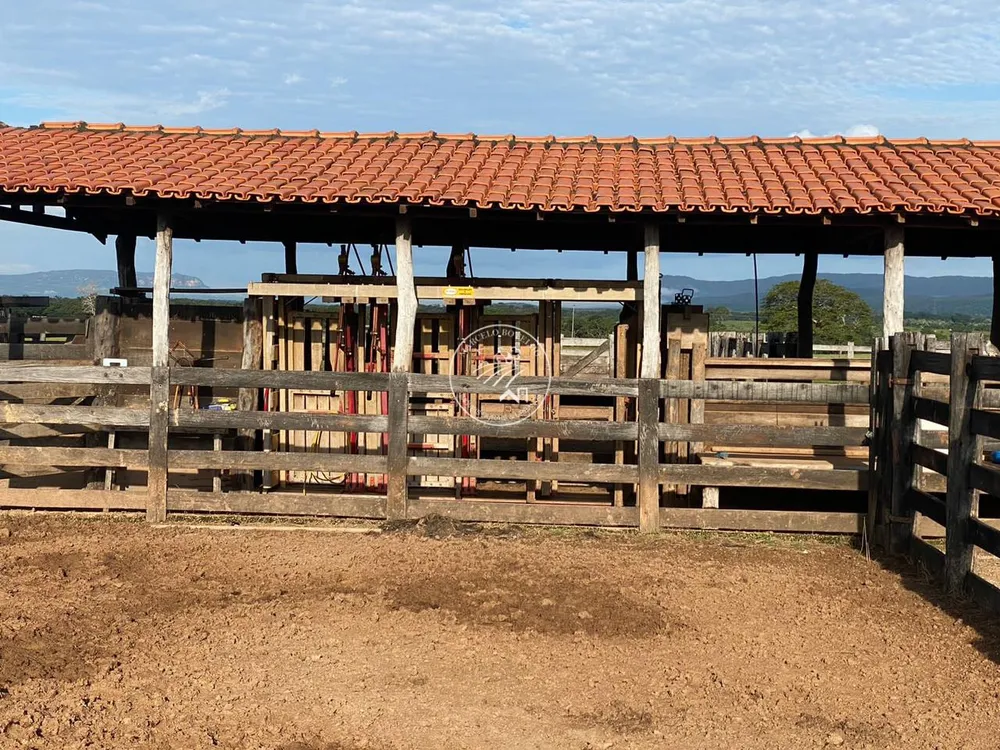 Fazenda, 4 quartos - Foto 16