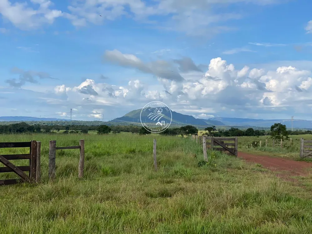 Fazenda, 4 quartos - Foto 6