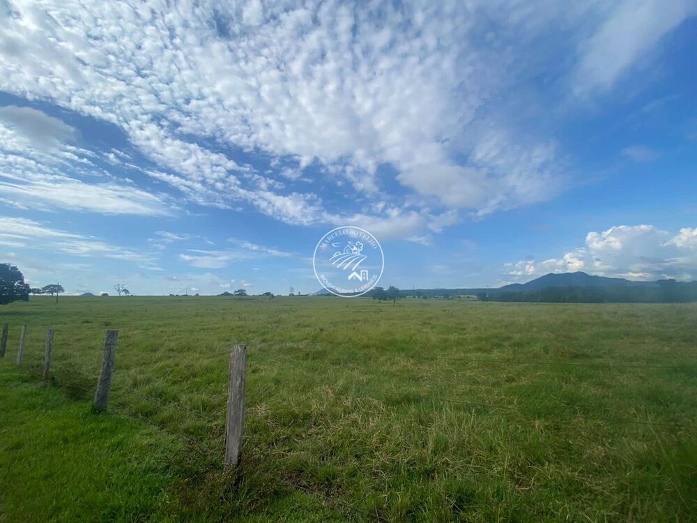 Fazenda à venda com 4 quartos, 1206m² - Foto 3