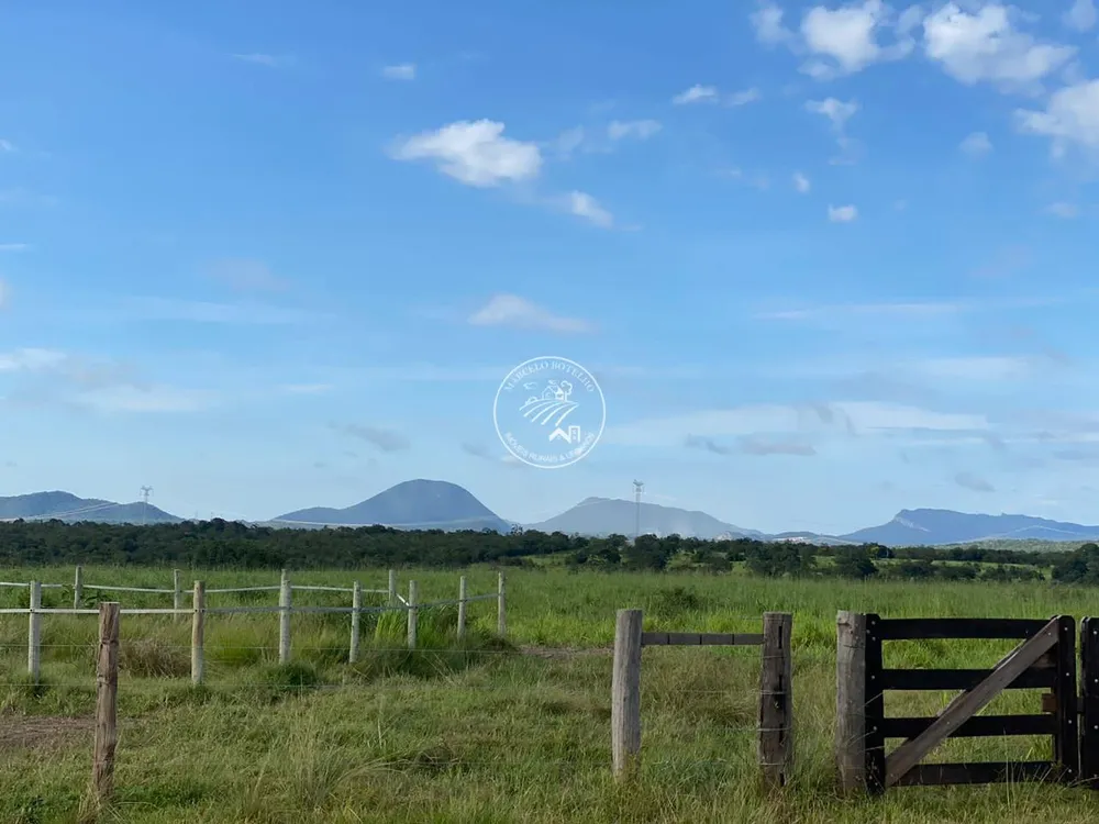 Fazenda, 4 quartos - Foto 7