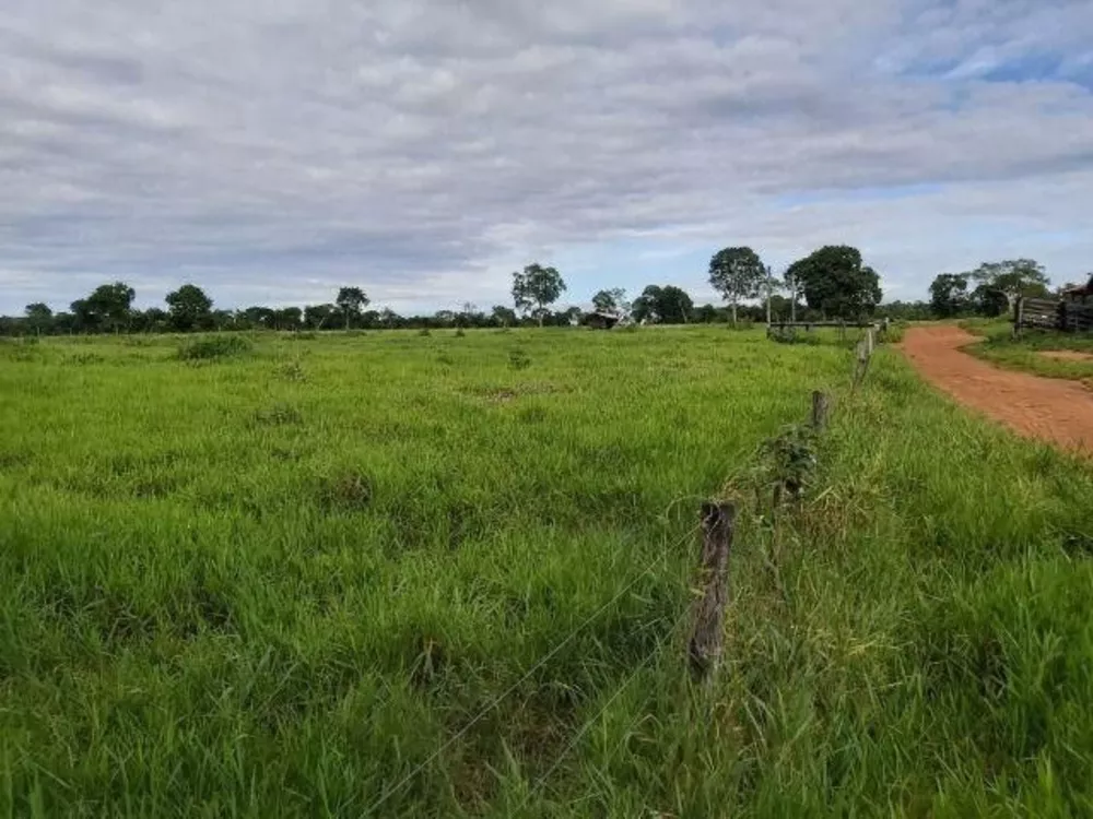 Fazenda à venda, 1500m² - Foto 2