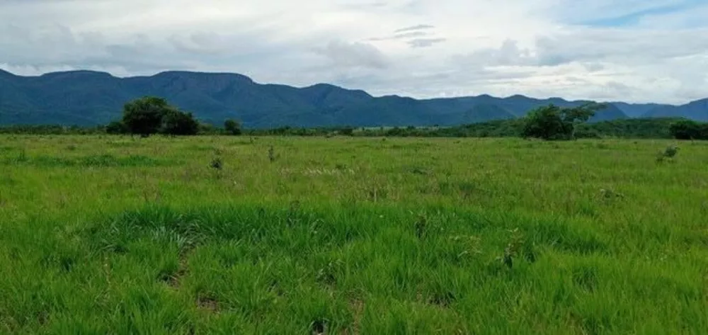 Fazenda à venda, 1500m² - Foto 1