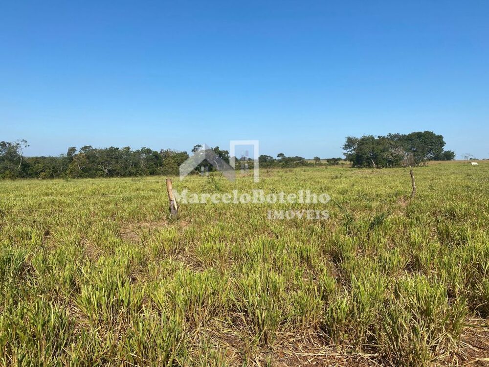 Fazenda à venda, 1500m² - Foto 8