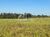 Fazenda - Foto 6