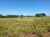 Fazenda - Foto 8