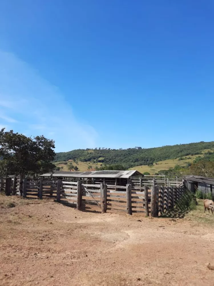 Fazenda à venda com 1 quarto, 3400m² - Foto 3