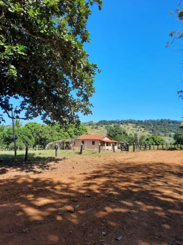 Fazenda à venda com 1 quarto, 3400m² - Foto 4