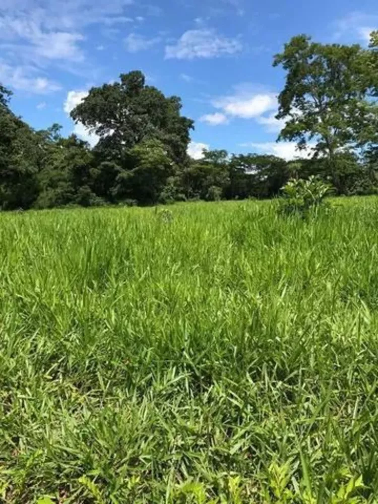 Fazenda à venda com 4 quartos, 521m² - Foto 2