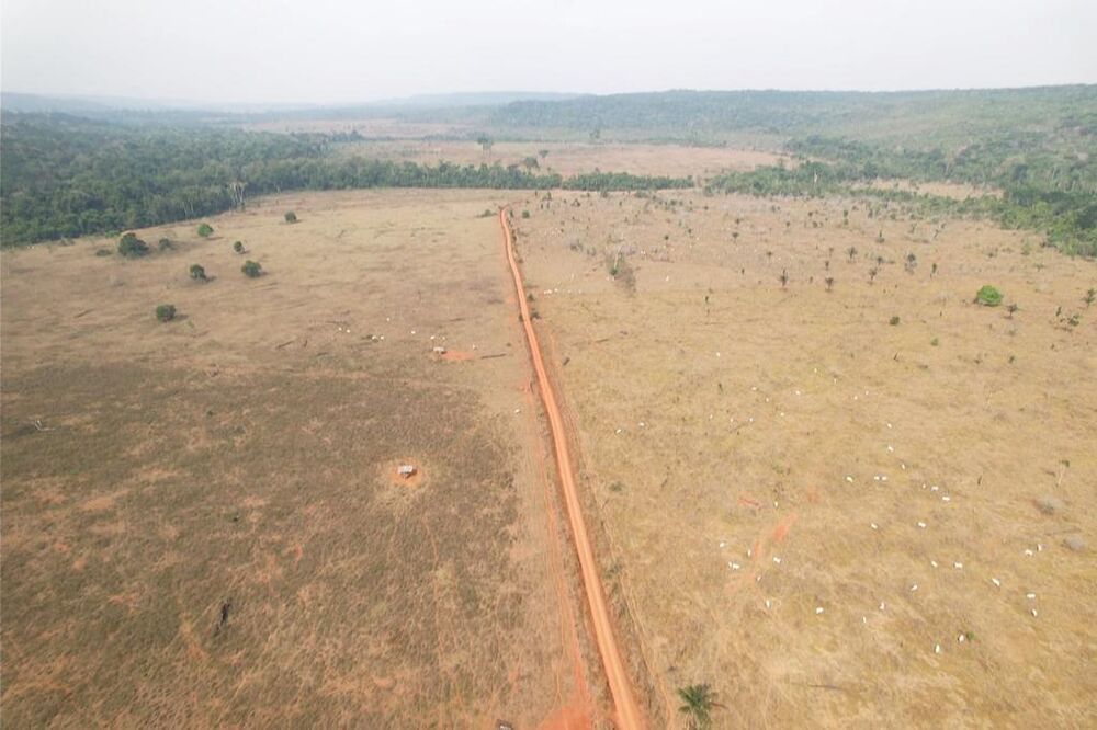 Fazenda à venda, 606m² - Foto 6