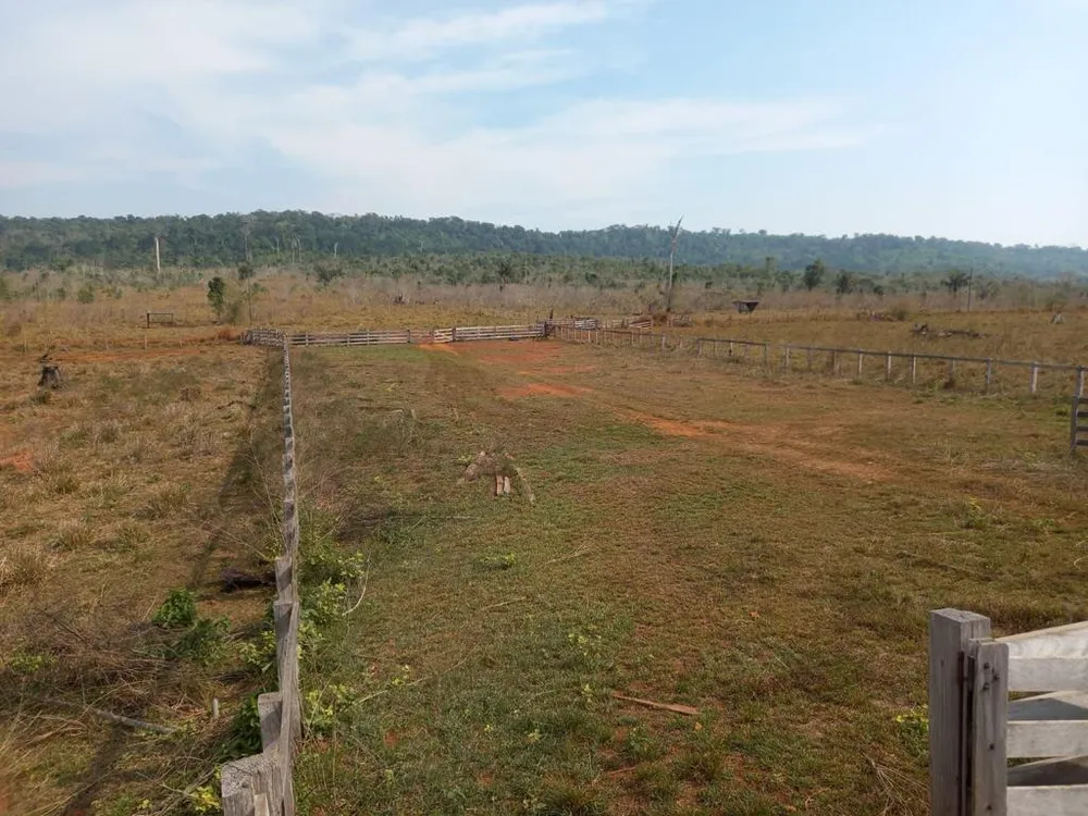 Fazenda - Foto 20