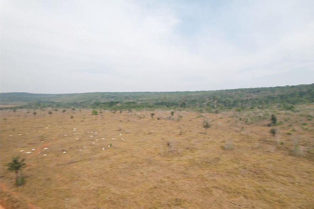 Fazenda à venda, 606m² - Foto 5