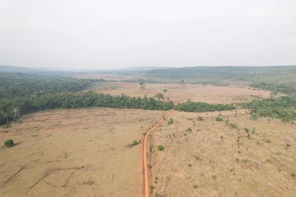 Fazenda - Foto 11