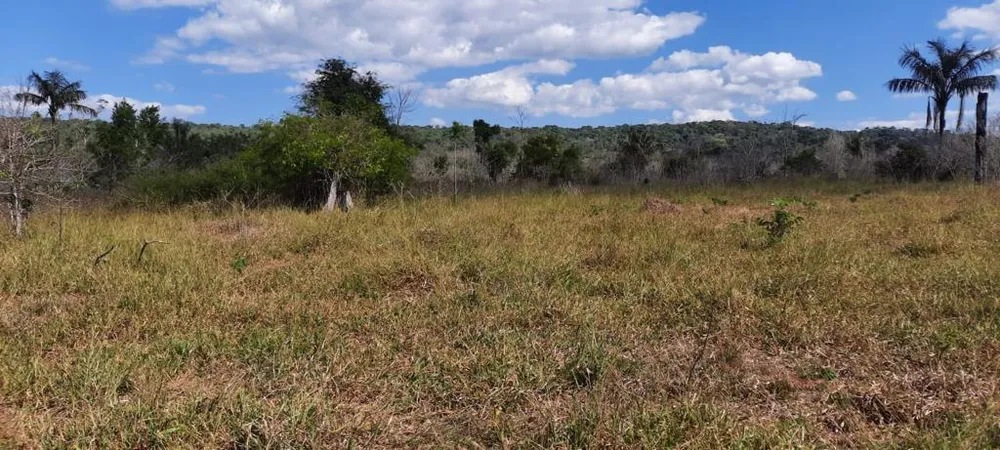 Fazenda - Foto 23