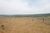 Fazenda-Sítio-Chácara - Foto 5