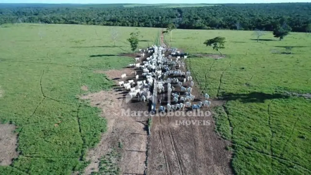 Fazenda - Foto 12