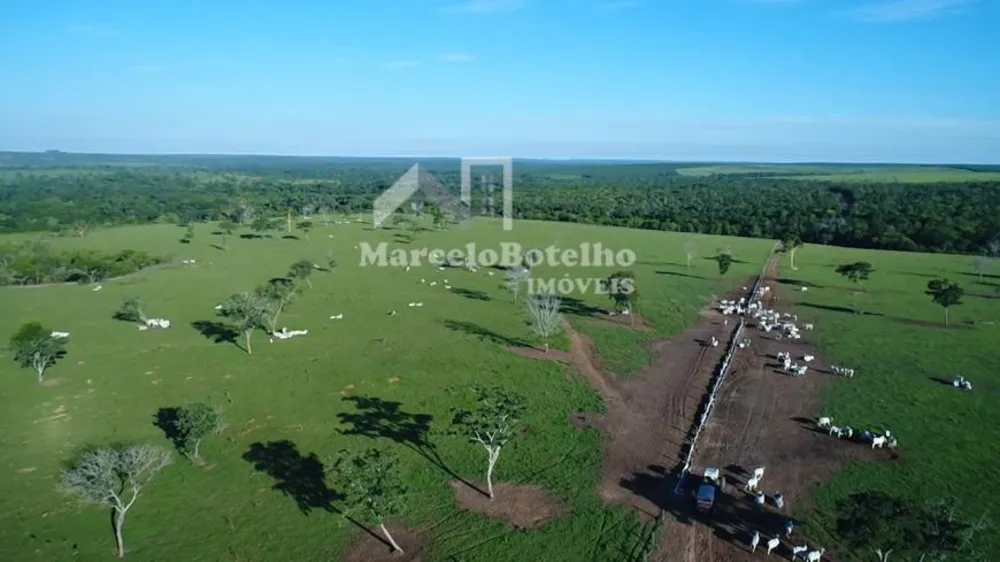 Fazenda - Foto 9