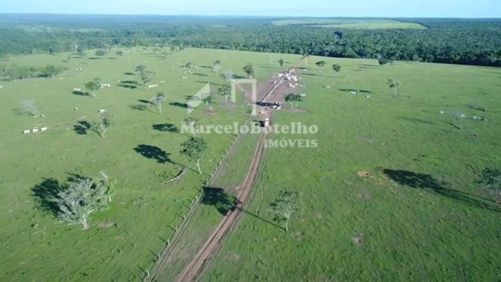 Fazenda - Foto 8
