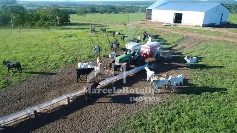 Fazenda - Foto 6