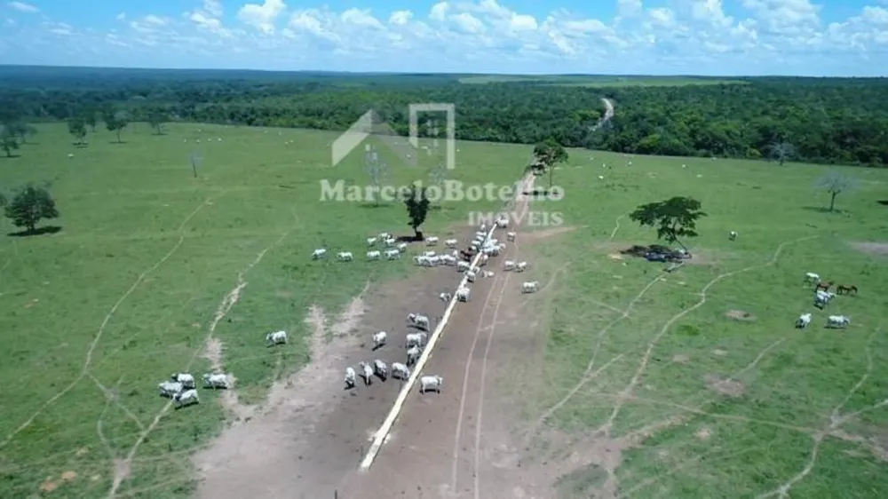 Fazenda - Foto 11