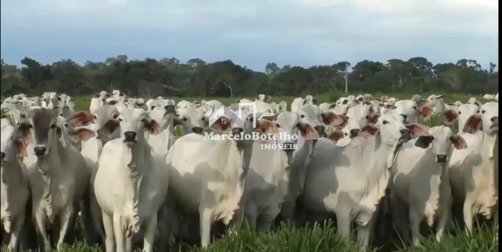 Fazenda - Foto 2