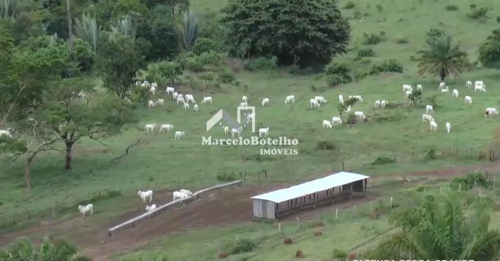 Fazenda - Foto 16