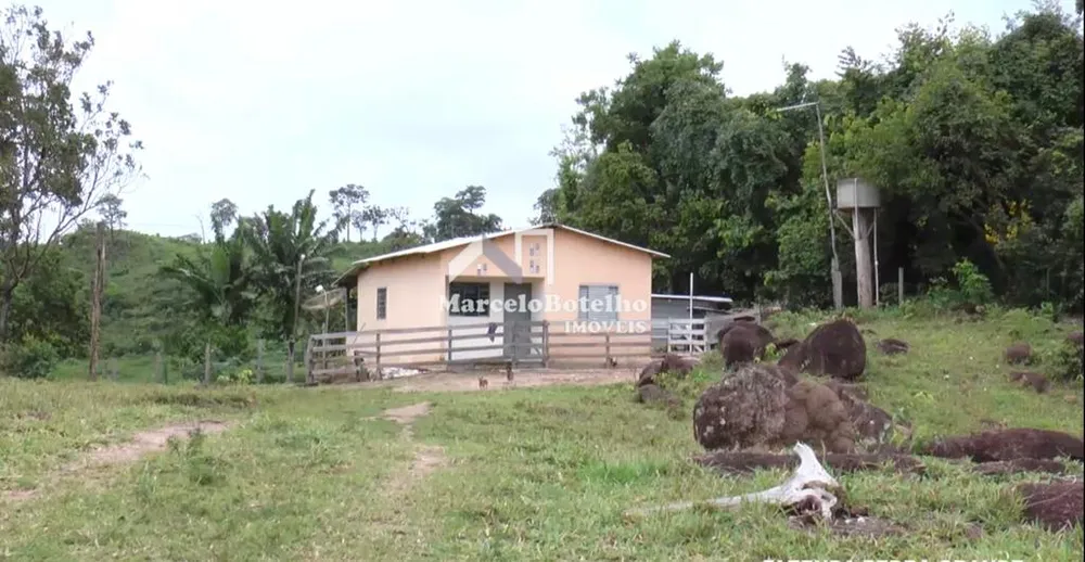 Fazenda - Foto 15