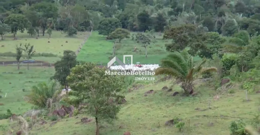 Fazenda - Foto 4