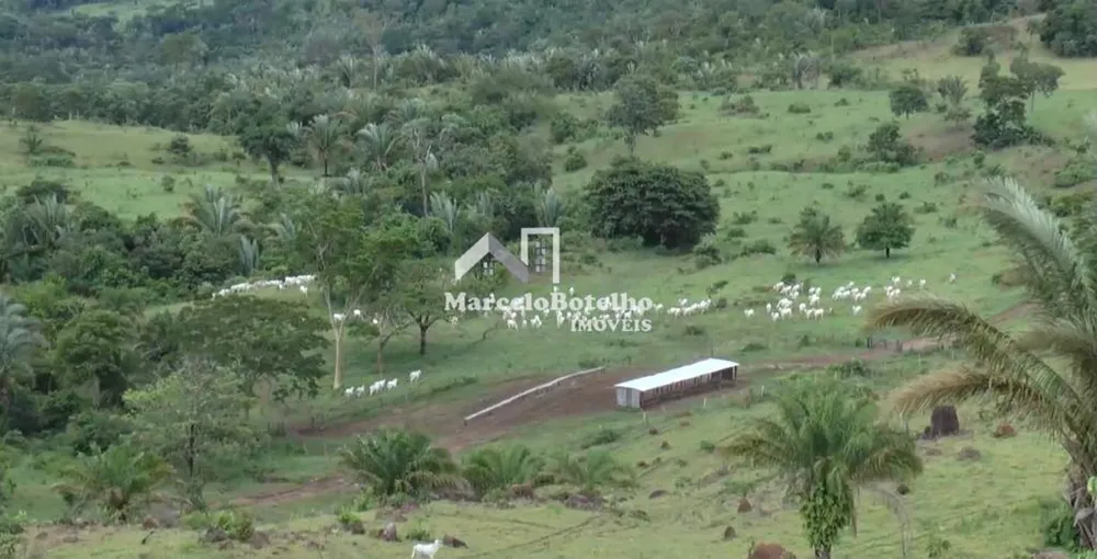 Fazenda - Foto 7