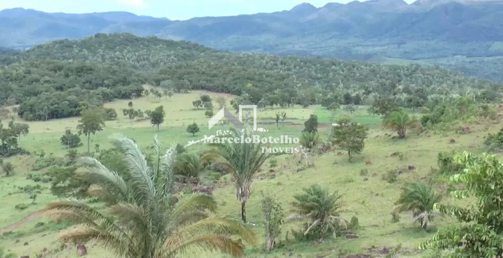 Fazenda - Foto 5