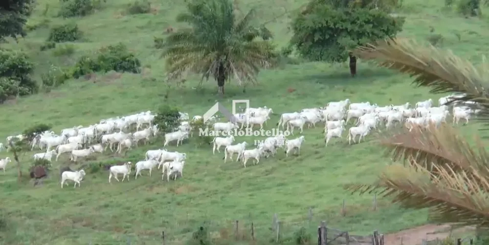 Fazenda - Foto 10
