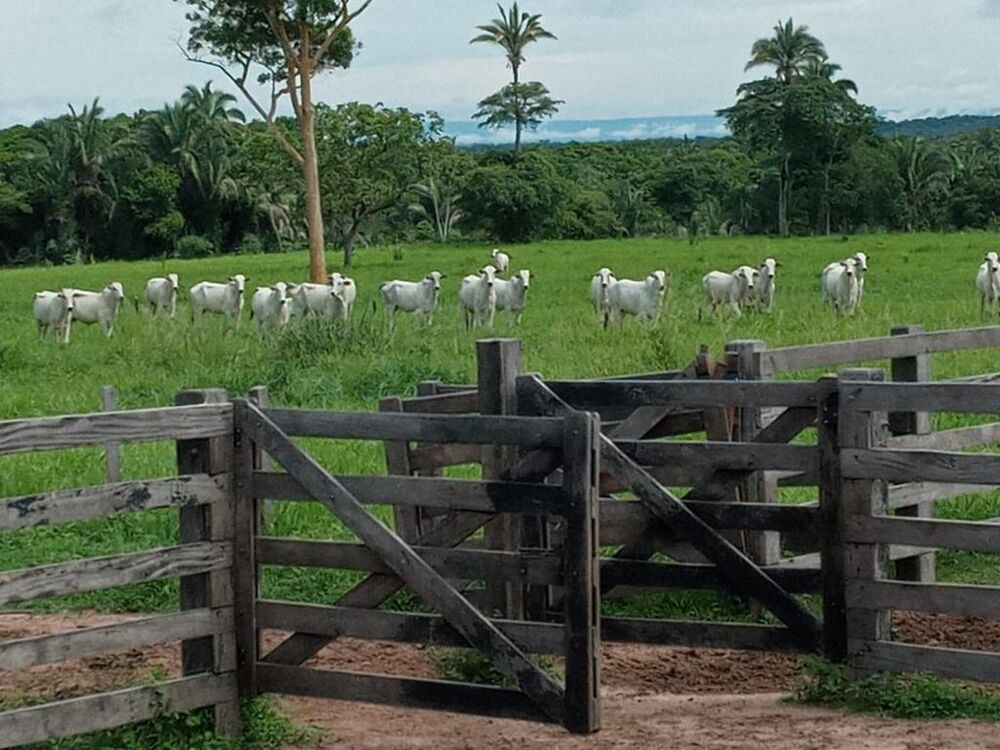 Fazenda à venda, 174m² - Foto 5
