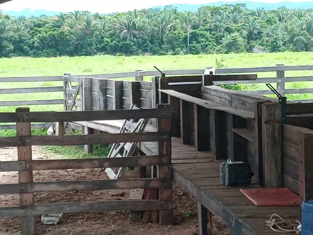 Fazenda - Foto 11