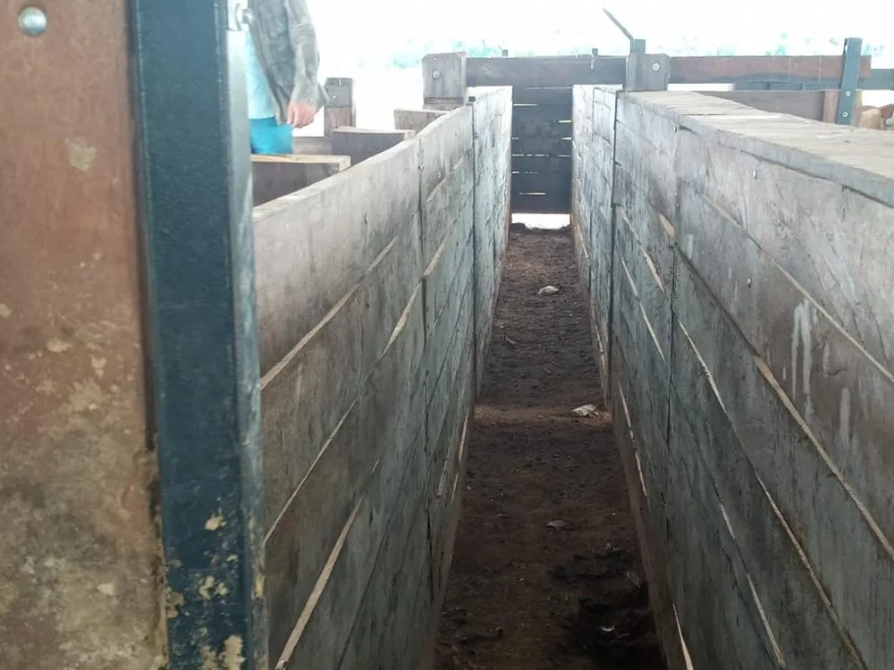 Fazenda - Foto 12