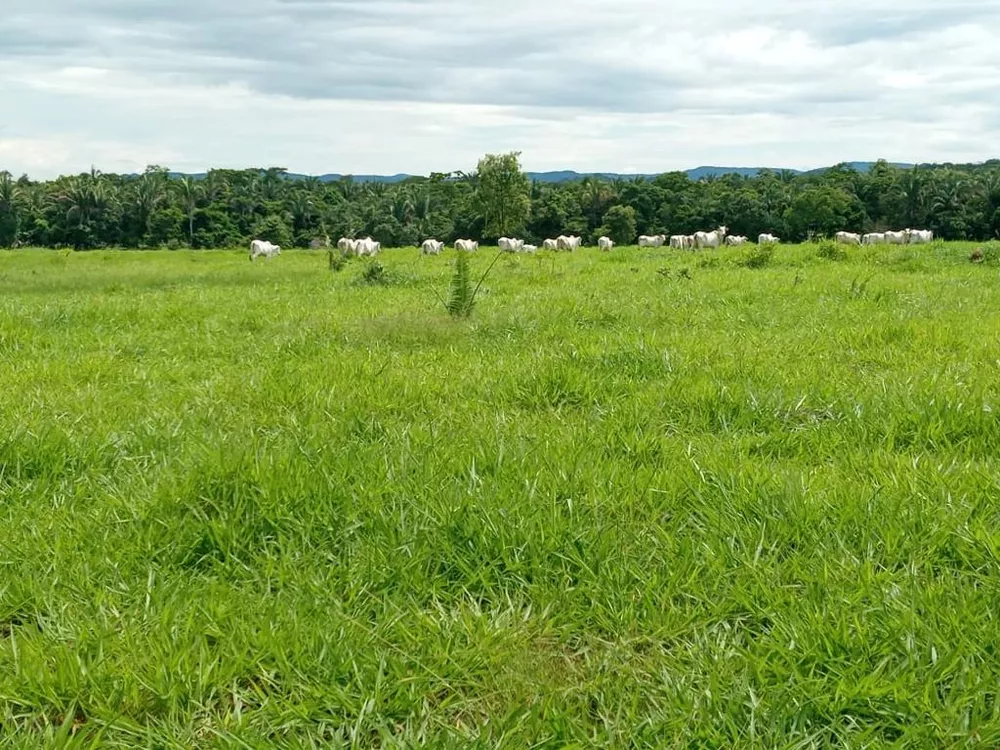 Fazenda à venda, 174m² - Foto 1